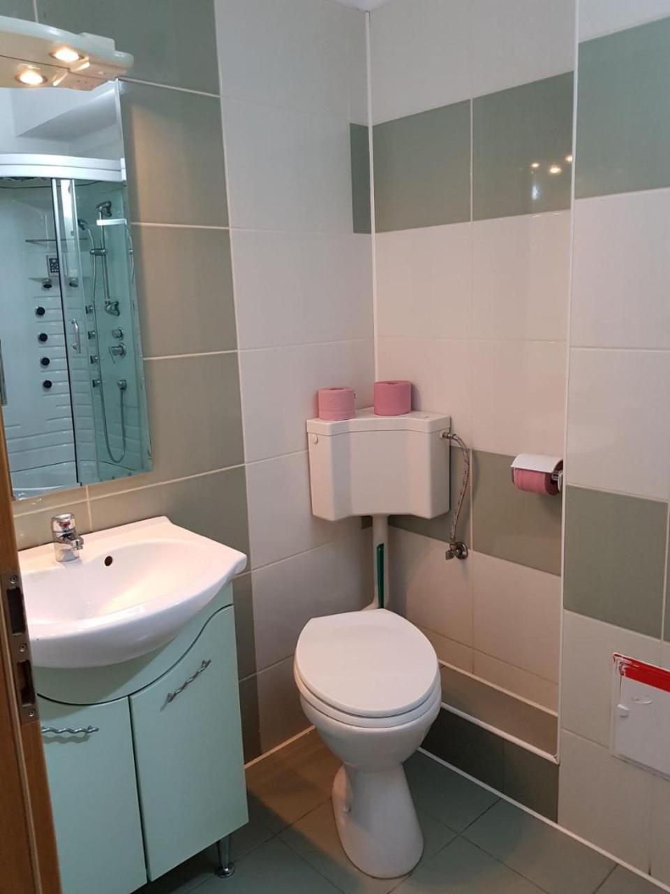 Hotel Floare De Colt Teius 外观 照片